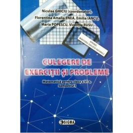 Culegere de Matematica pentru clasa a VI-a, semestrul 1, exercitii si probleme - Nicolae Ghiciu